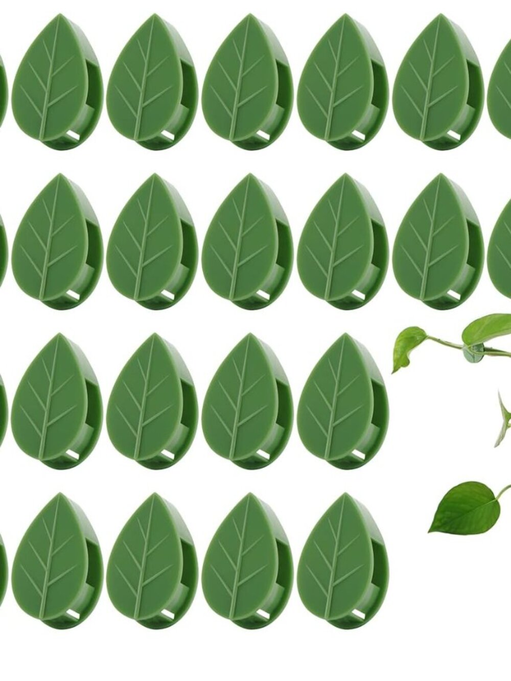 60 Pcs Plant Climbing Wall Fixture Clips, Self-Adhesive Hook for Vines